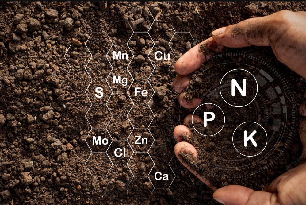 Soil Sensor: The Hero Behind Smart Agriculture