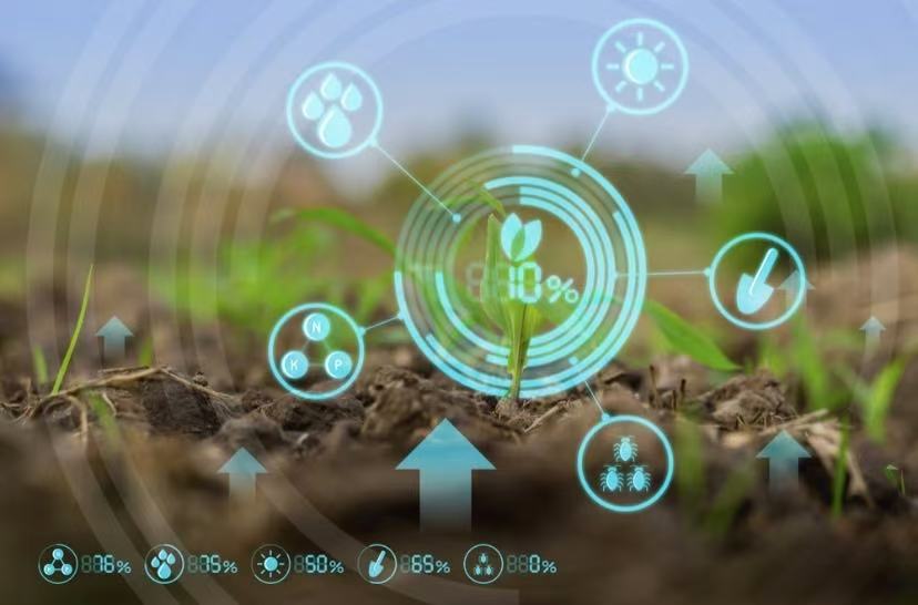 LoRaWAN Soil EC Sensor: A Technological Tool for Accurately Sensing the Secrets of Soil